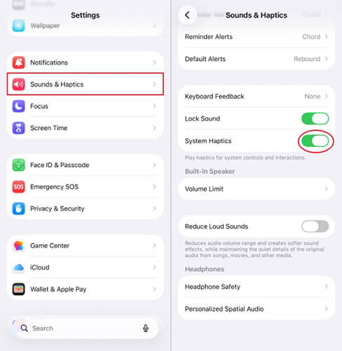 enable system haptics to fix iphone vibration not working properly