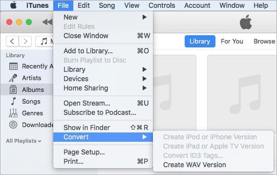 convertire un file m4a in wav su Mac usando iTunes
