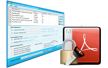 various options for pdf security