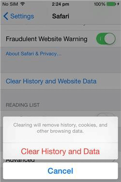 delete search history on iphone