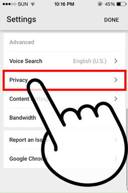 删除 iPhone 上的搜索历史记录