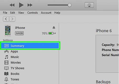 visit iphone settings page on itunes