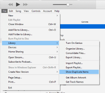 show duplicate items on itunes