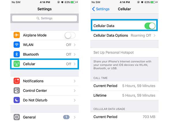 enable cellular data on iphone