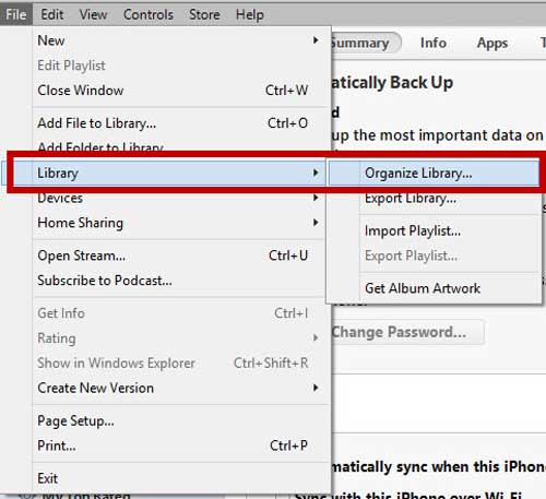 organize itunes library before backing up