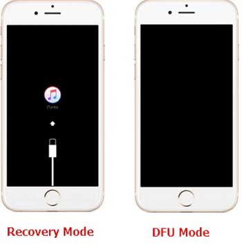 dfu iphone to fix ipad white screen