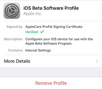  delete profile to fix large storage in ios 14