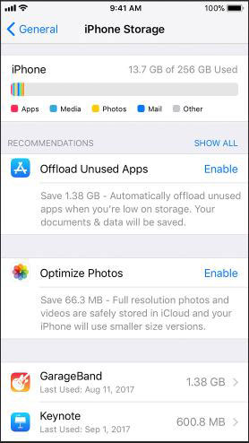 check the storage when the iphone memory is full