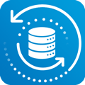 android backup manager logo