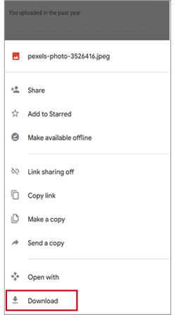 download data from google drive