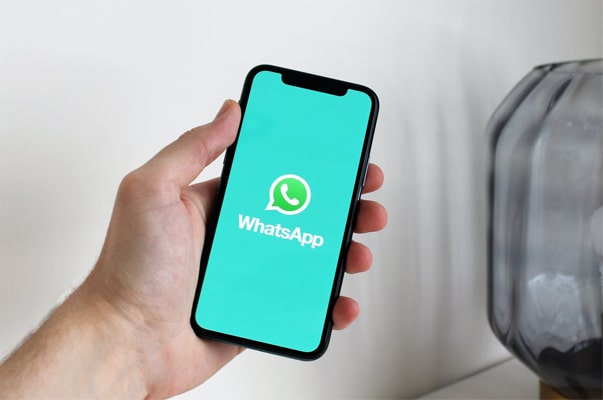 how to access whatsapp backup