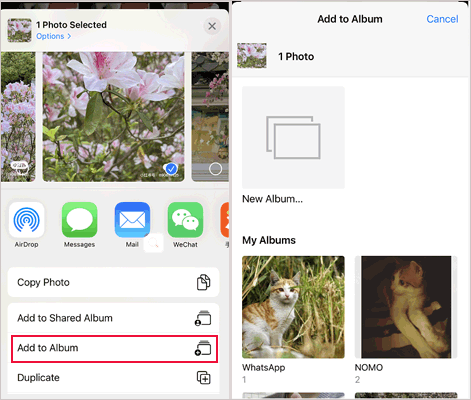 how to move photos to albums on iphone via photos app