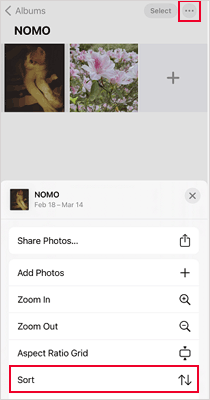 how to sort photos in albums on iphone