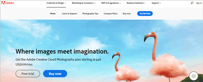 google photos alternative - adobe creative cloud photography