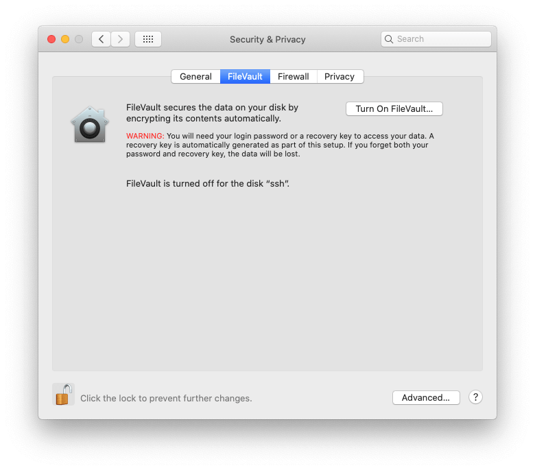 go to mac system preferences filevault