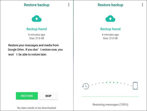 tap on the restore tab to restore your data