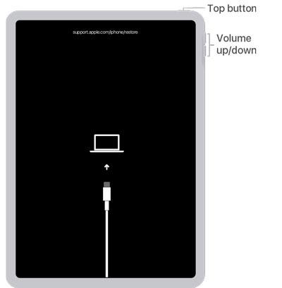 restore ipad in dfu mode when it stuck on the apple logo screen