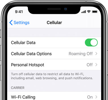 switch on the cellular data